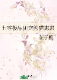 七零極品團寵熊貓崽崽小说封面