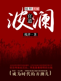官道波瀾小說封面