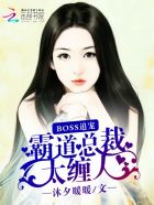 Boss追寵：霸道縂裁太纏人小說封面