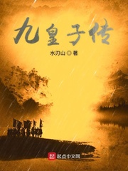 九皇子傳小說封面