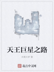 天王巨星之路小說封面
